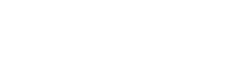 logo avatel