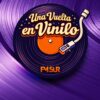 Una Vuelta en Vinilo