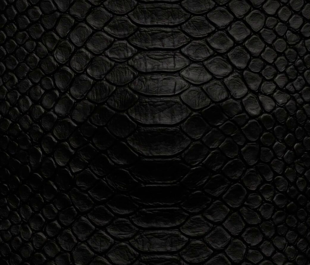 Fondo