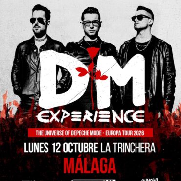 DM experience chainsaw entertainment