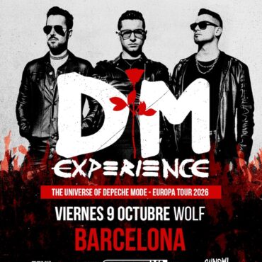DM experience chainsaw entertainment