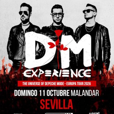 DM experience chainsaw entertainment
